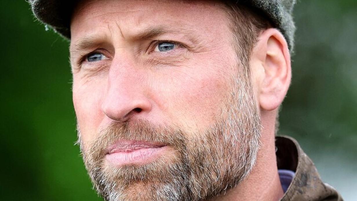 Allison houchen xxx i've never seen an escort without at