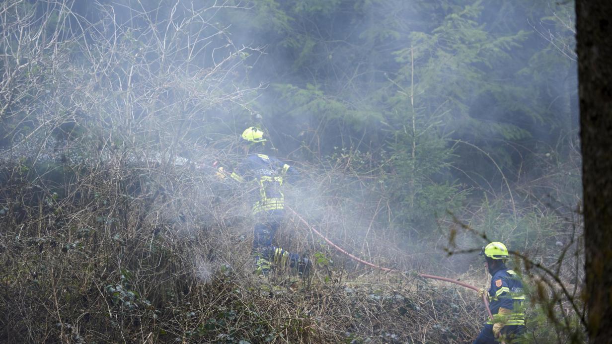 Waldbrand-Gefahr in Österreich: Wo die Flammen leichtes Spiel haben