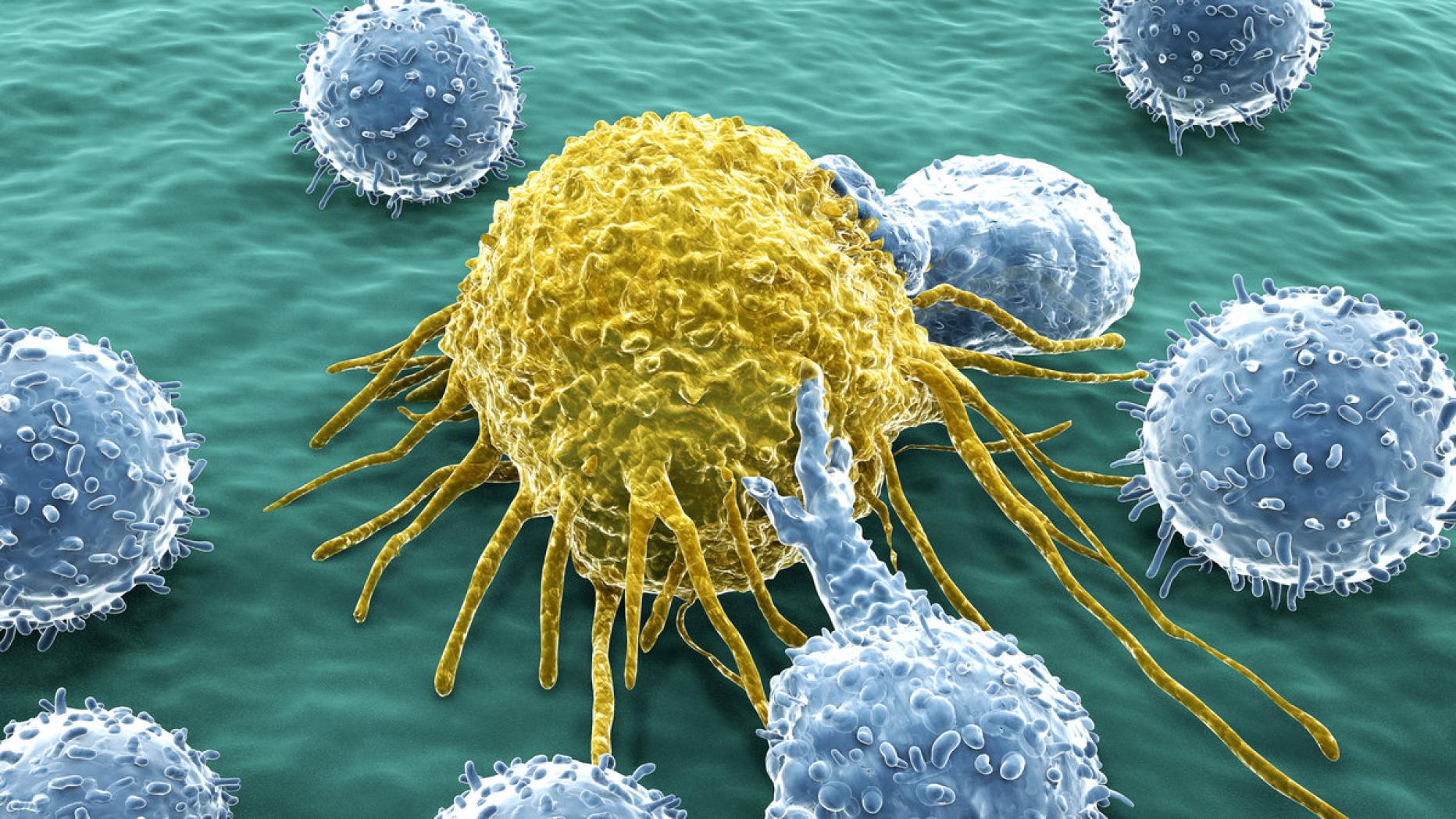 Immuntherapie ist wirksamer als Chemotherapie | Kurier