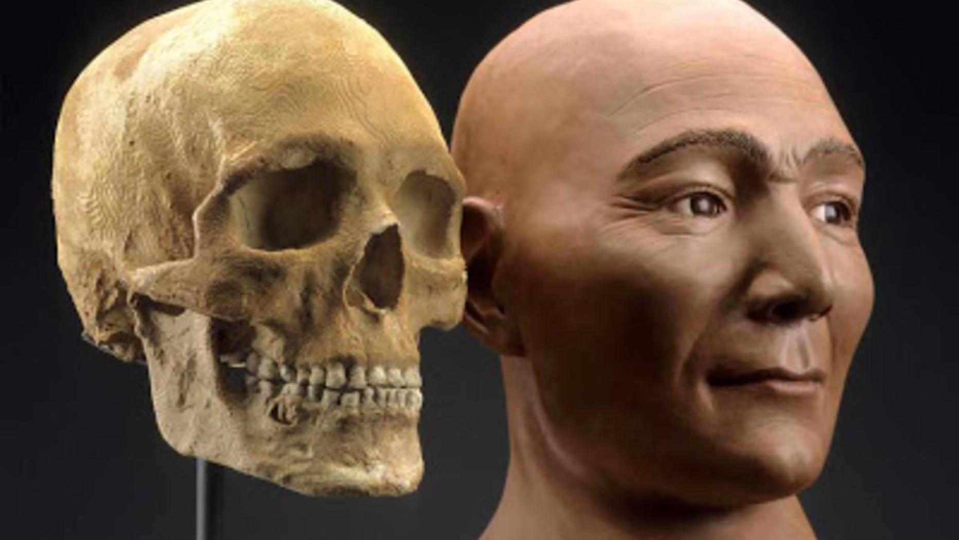 Насколько правдиво. Реконструкция лица по черепу. Реконструкция облика по черепу. Скульптурная реконструкция лица по черепу. Графическая реконструкция лица по черепу.