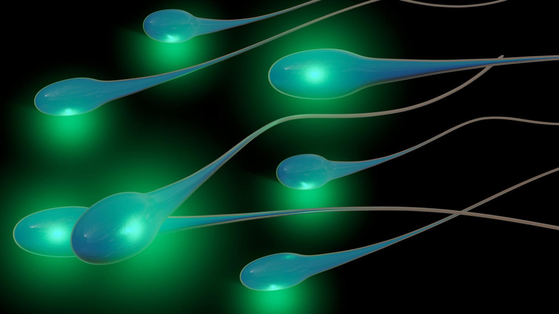 Welchen Einfluss die Sitzheitzung auf Spermien hat