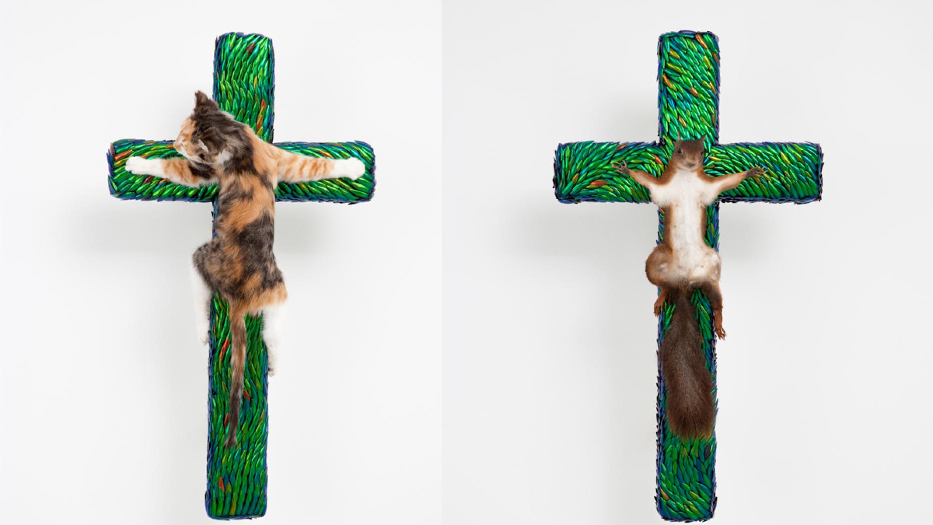 Jan Fabre Schlaflos in BelgischKongo