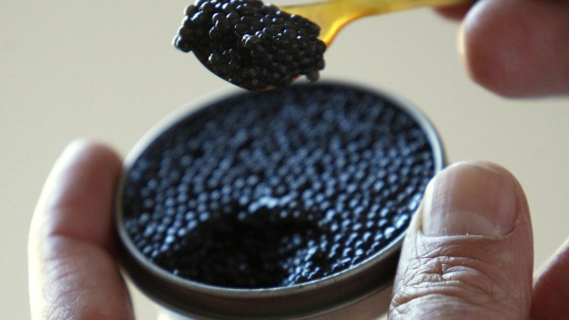 Как отличить черную. Черная икра Кавиар. Черная икра Caviar. Икра черная осетровая. Настоящая черная икра.