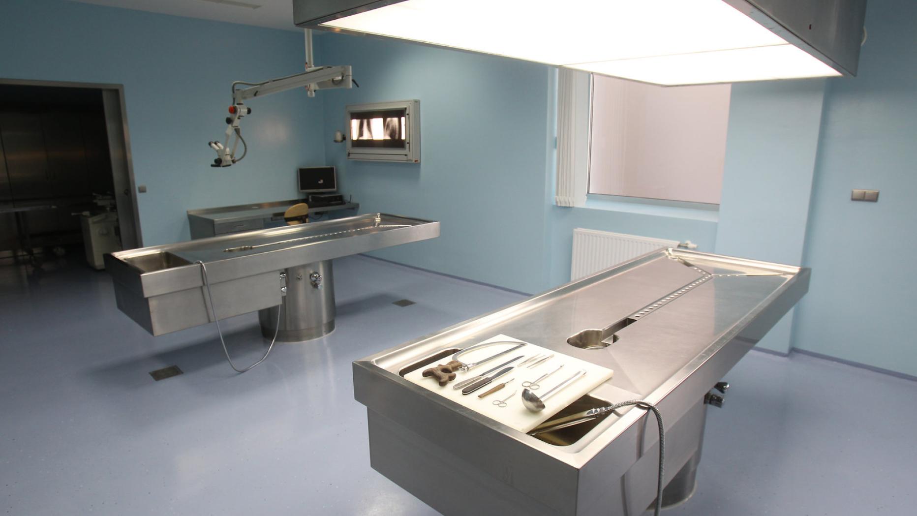 Gerichtsmedizin Mehr als 20 Morde pro Jahr bleiben unentdeckt