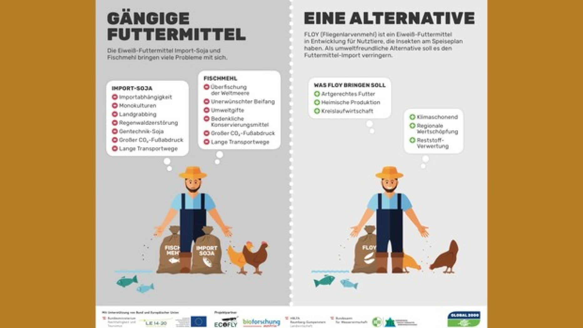 FLOY: Der ökologische Tierfutter-Ersatz für Soja und Fischmehl