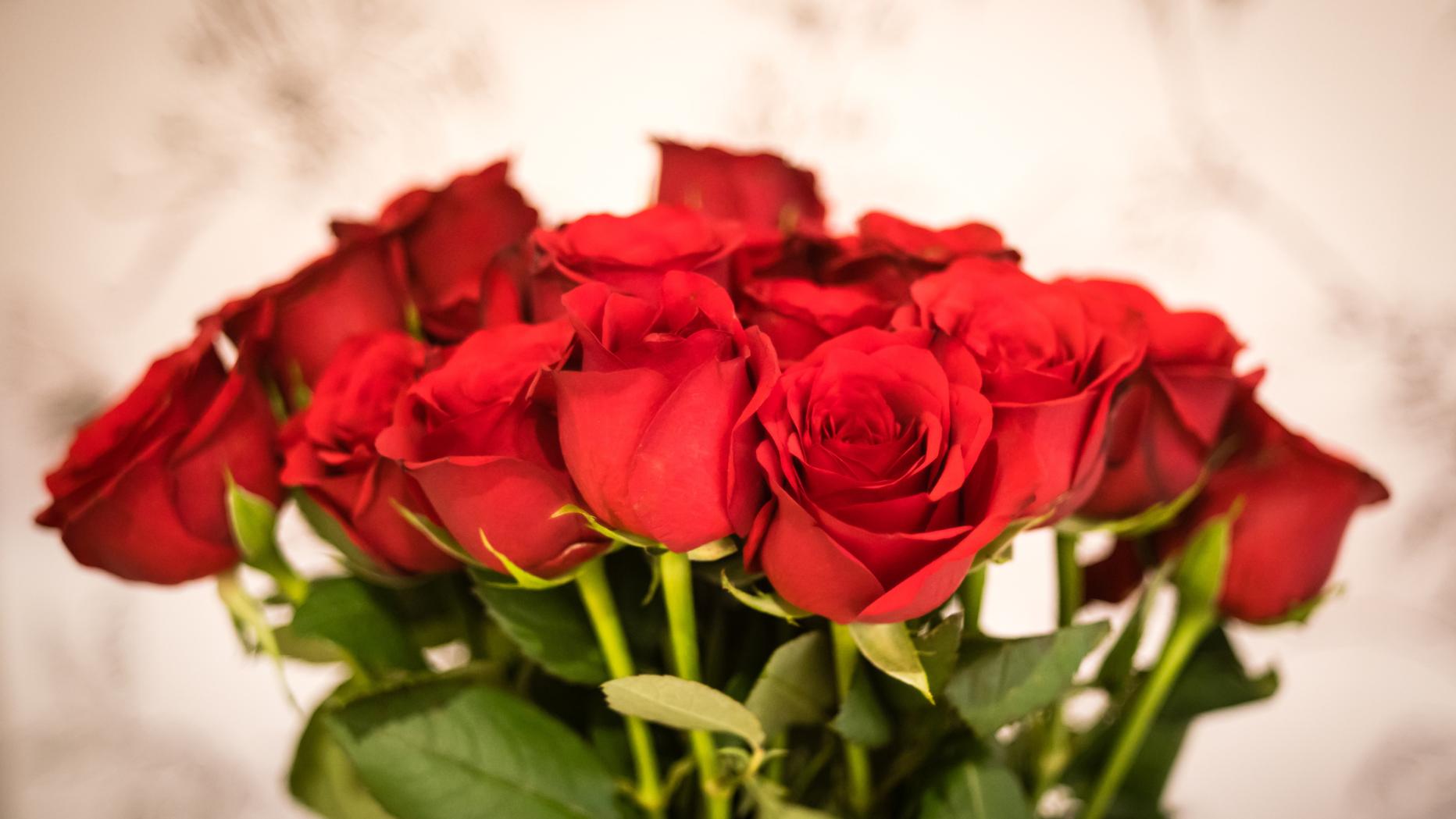 Wann Lauft Der Bachelor 2020 Bachelor 2020 Alle News Zur 10