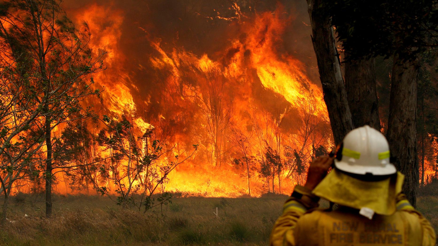 Buschfeuer Ausser Kontrolle Notstand In Australien Ausgerufen Kurier At