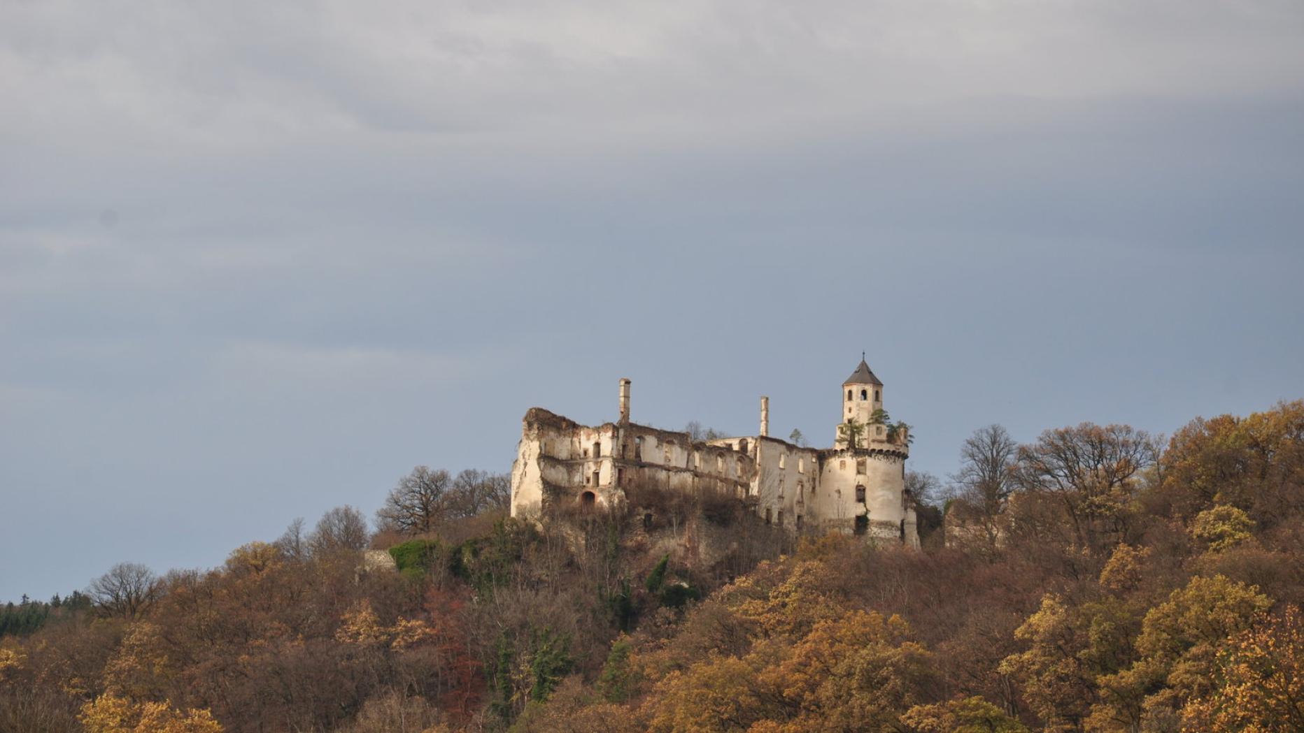 Irdning-donnersbachtal frauen dating aus dunkelsteinerwald aus kennenlernen. Partnersuche meine stadt gralla. Frau sucht mann frs bett laxenburg. Dating aus dunkelsteinerwald - Horn reiche frau sucht mann