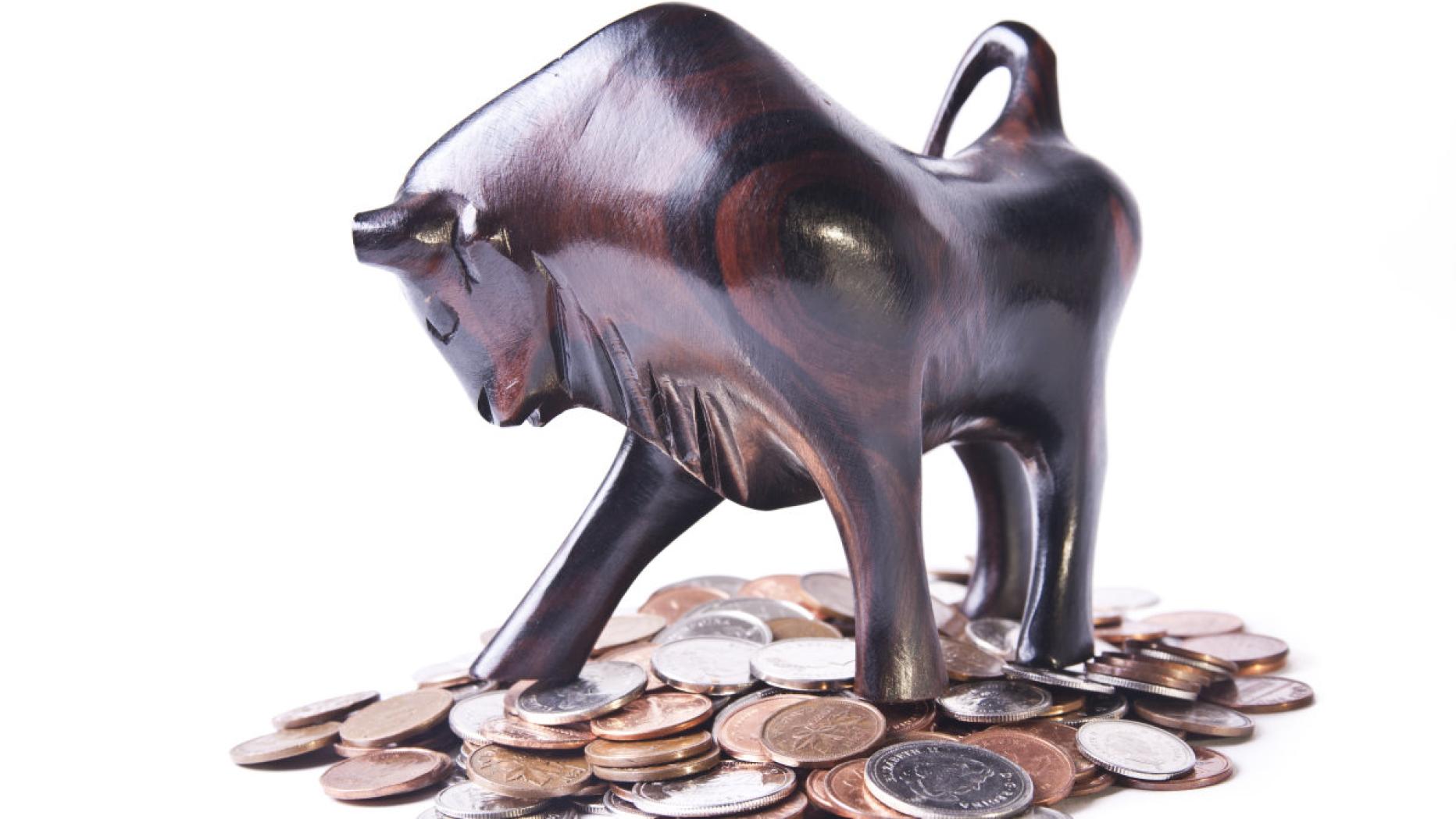 Die Bullen sind noch nicht müde kurier.at