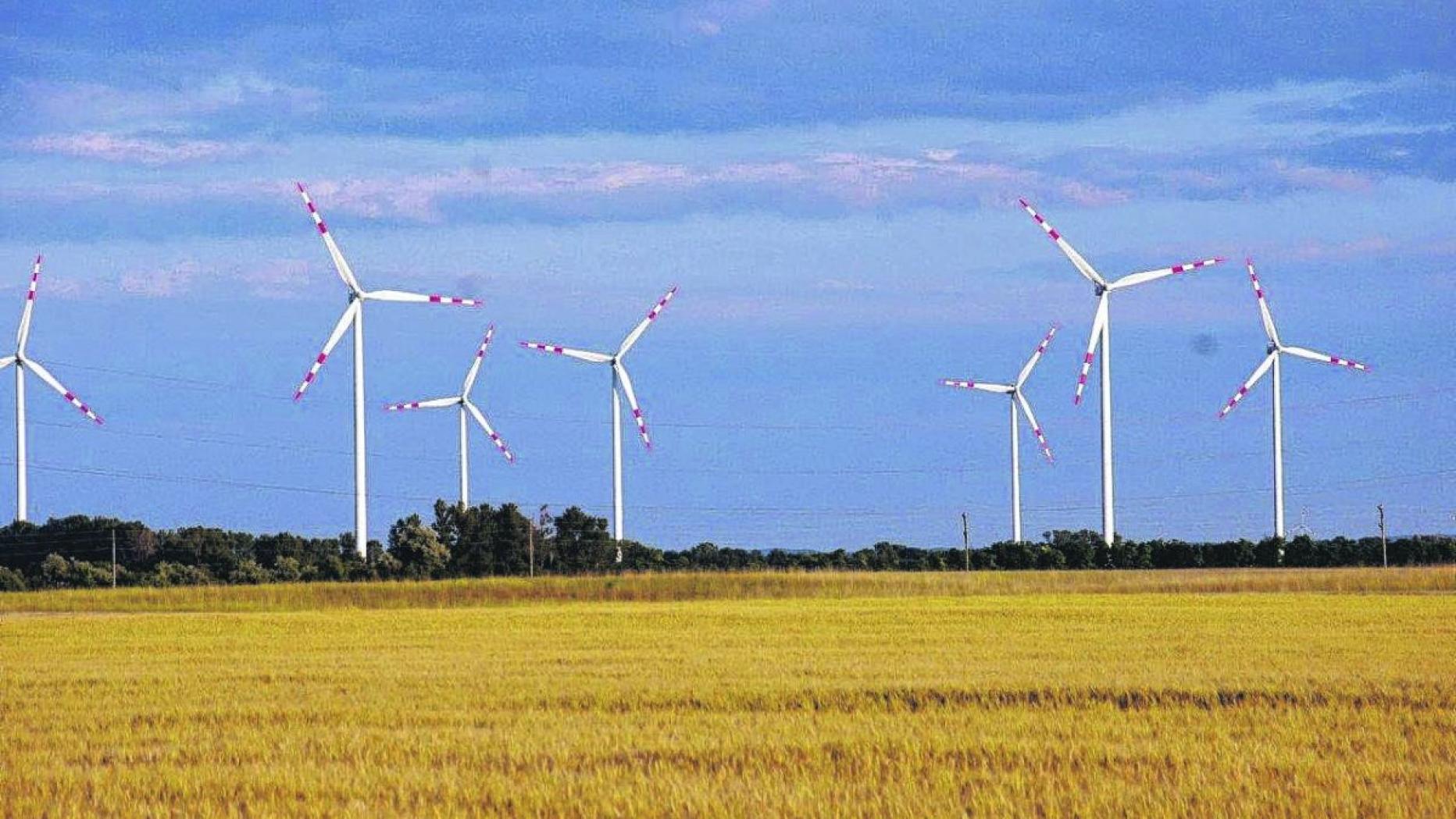 Klare Mehrheit für Windpark