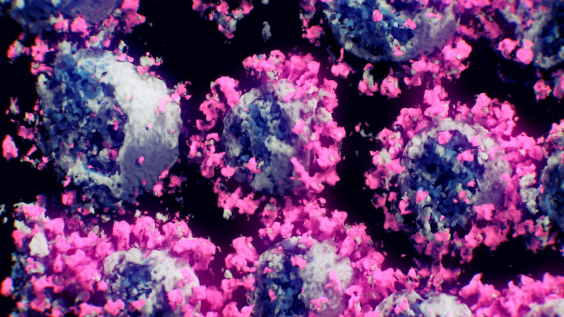 Wann Hat Die Corona Pandemie Begonnen kurier.at