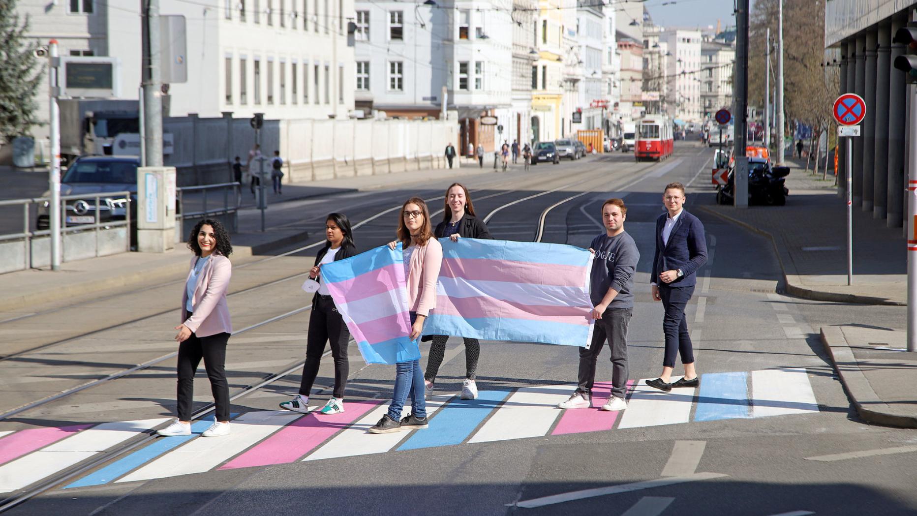 Wiens erster Trans*PrideZebrastreifen am Alsergrund kurier.at