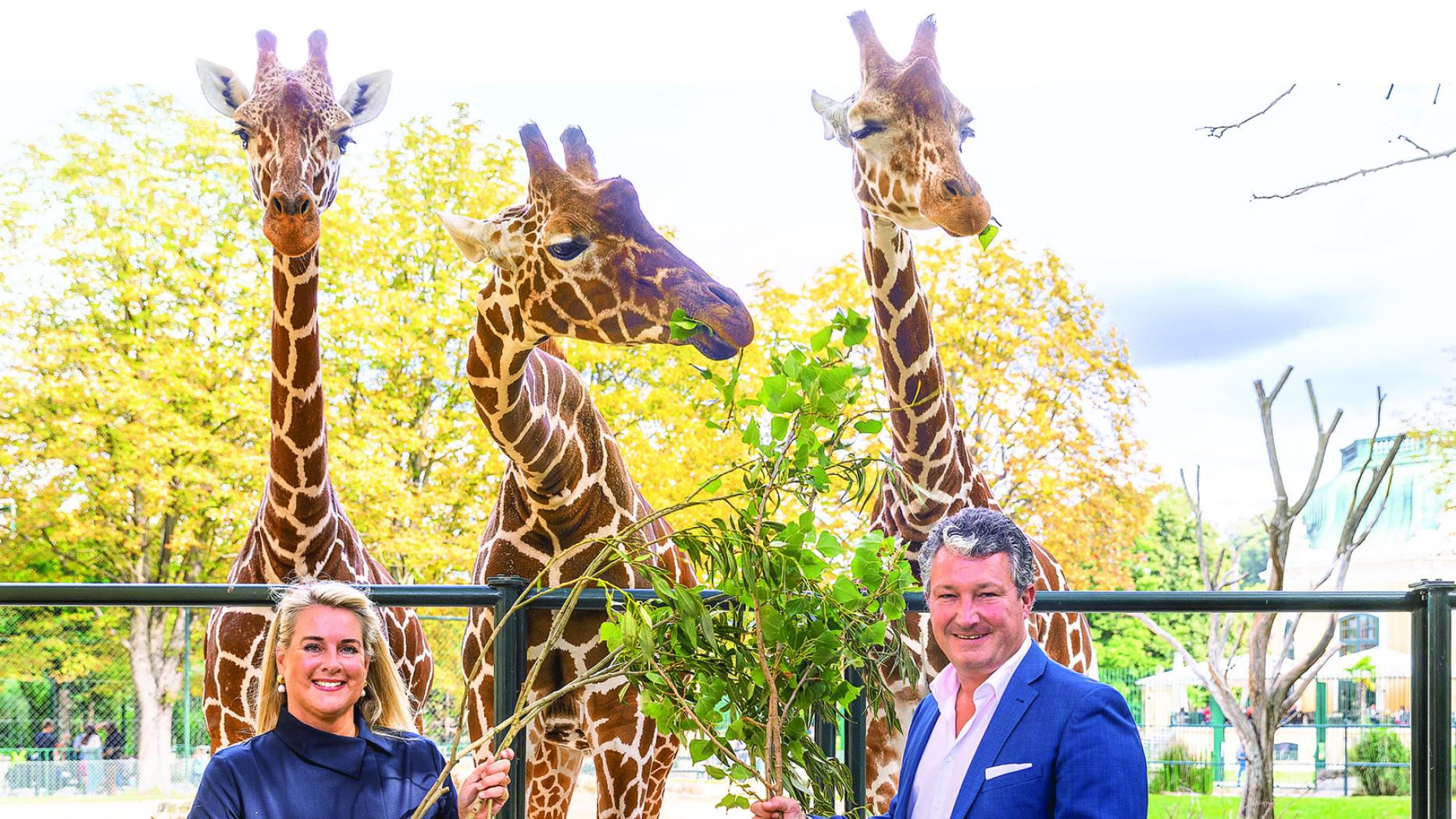 Der andere Tiergarten