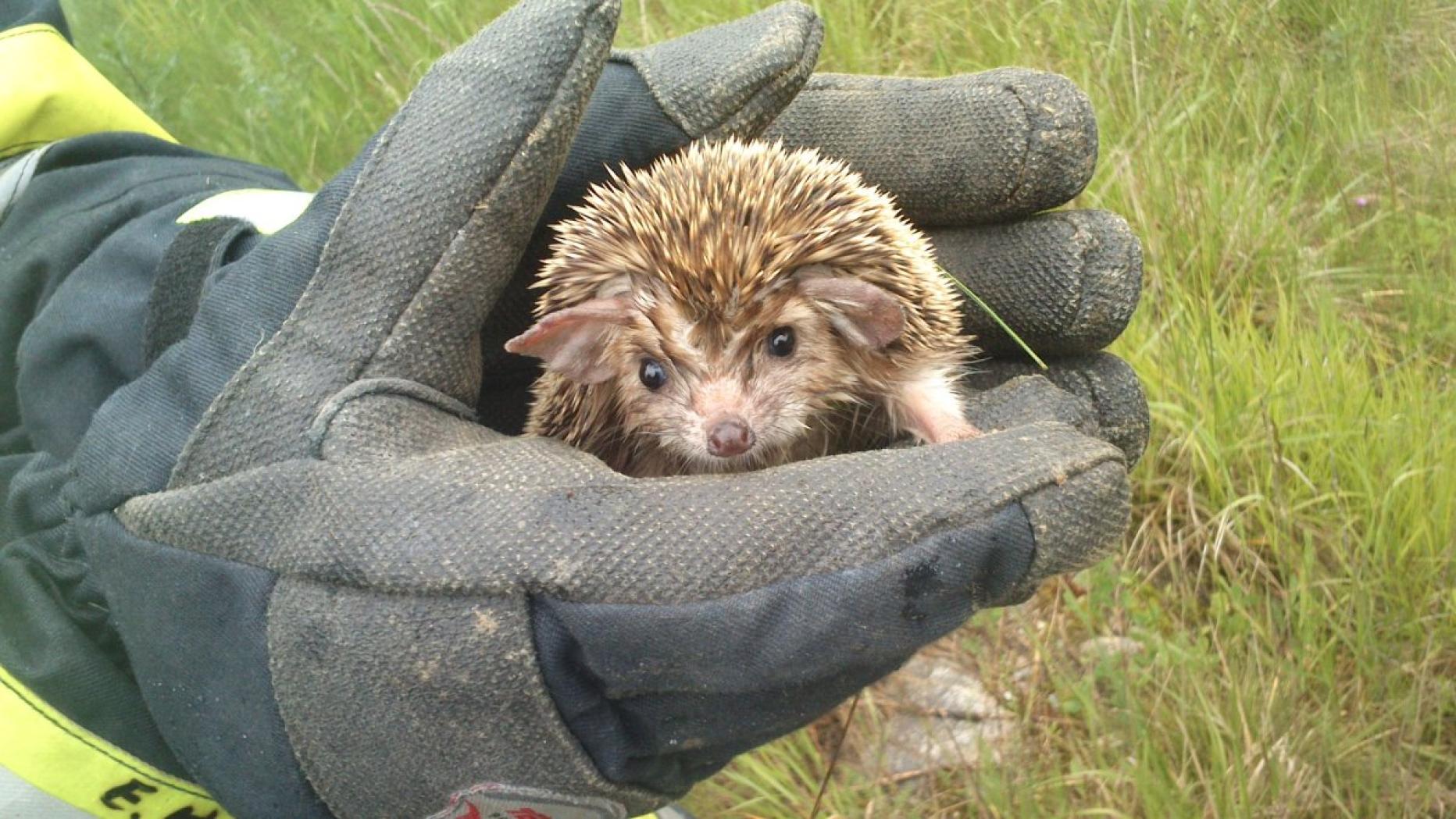 Sharplace Hamsterhaus - Dreieckiges Zelt Für Kleintiere 32x30x33,5cm