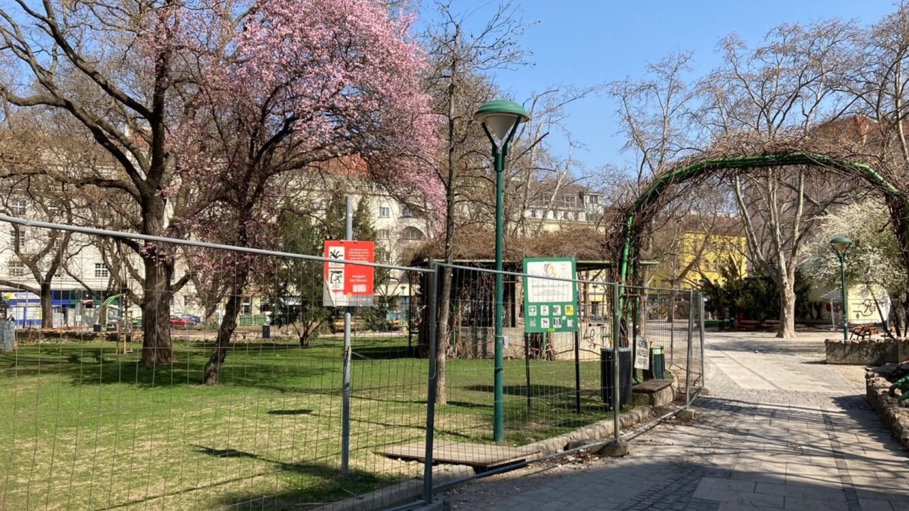 Bitte außen herum Neuer Glanz für den KardinalNaglPlatz