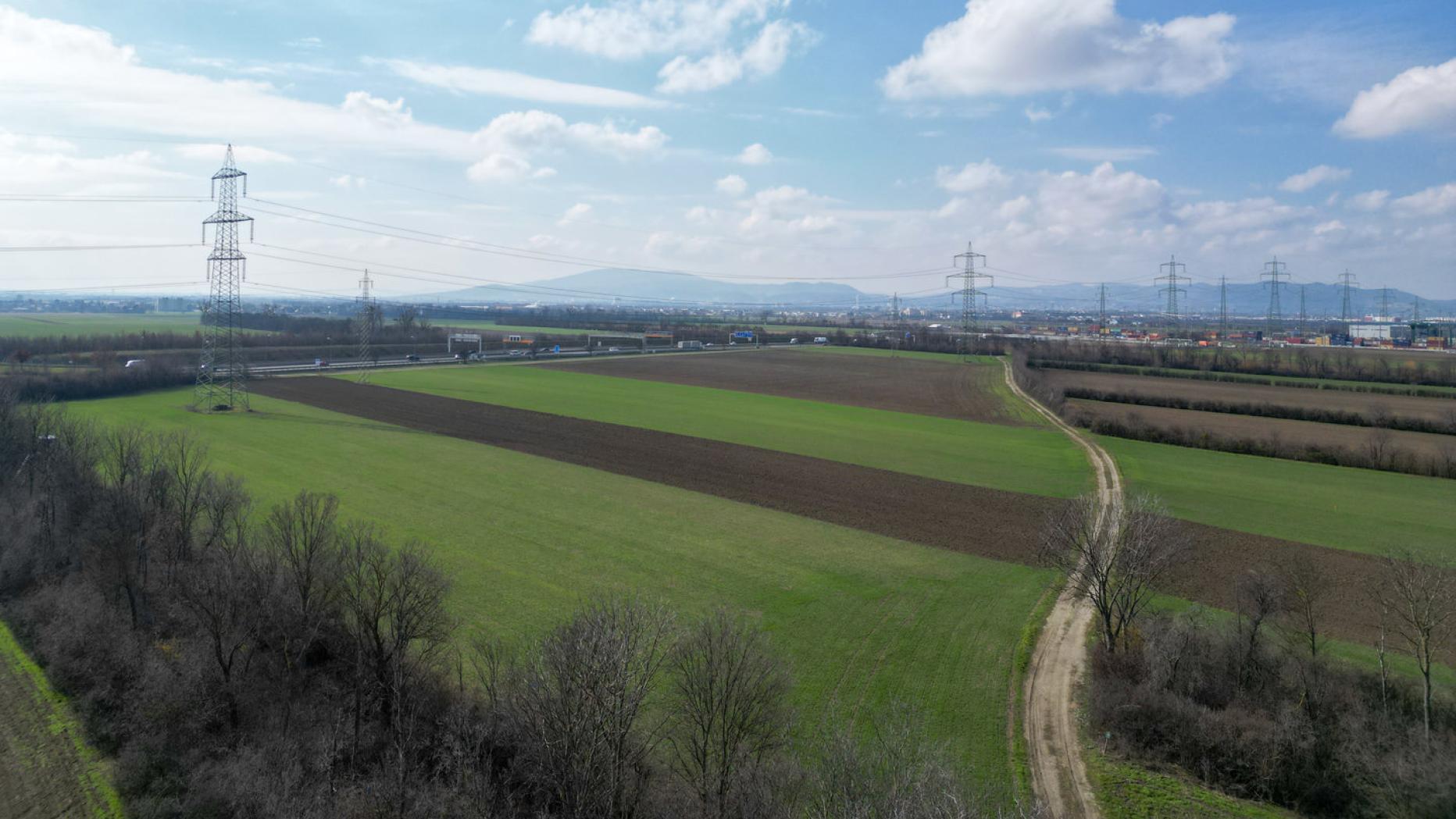 Städtische Landwirtschaft: Eine neue Ordnung für Wiens Äcker