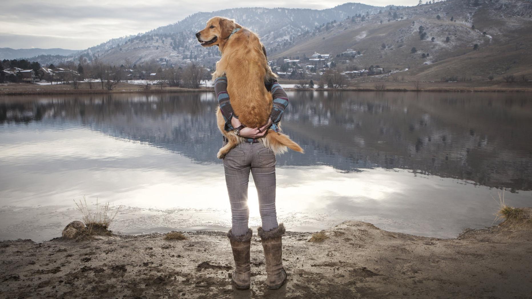 Was Mensch Und Hund Zusammenhält Kurierat - 