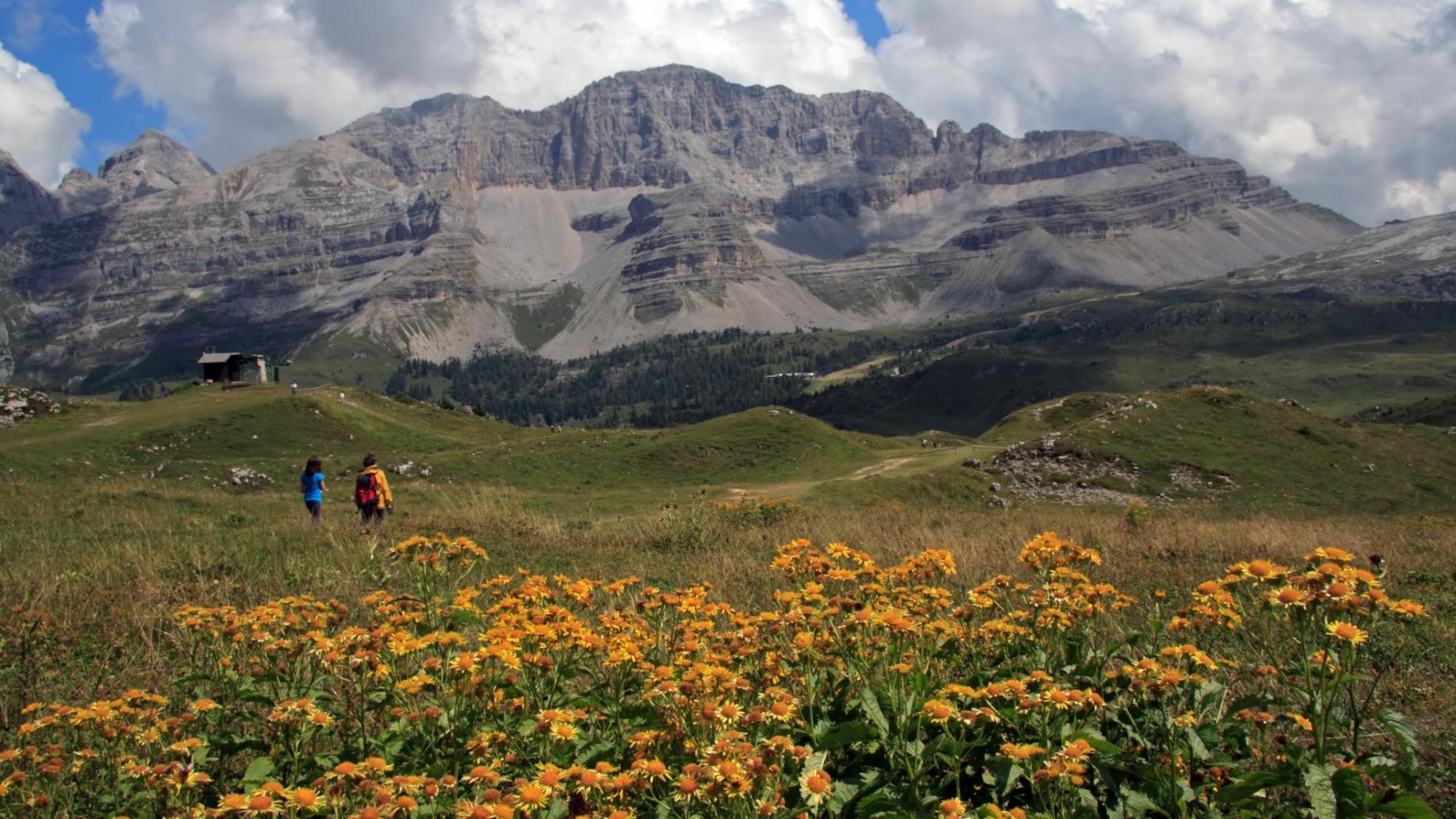 Minus 70 Fußballfelder: Rekordschmelze für Italiens größten Gletscher