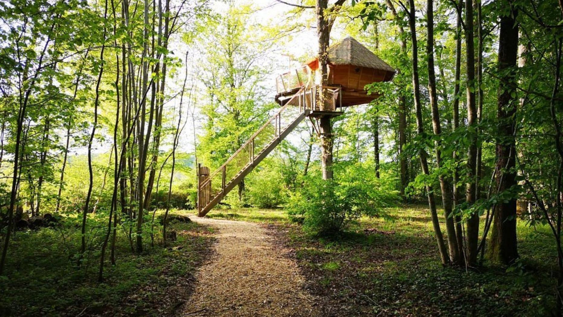 Vor Olympia 2024 in Paris Frankreich setzt auf grünes Reisen