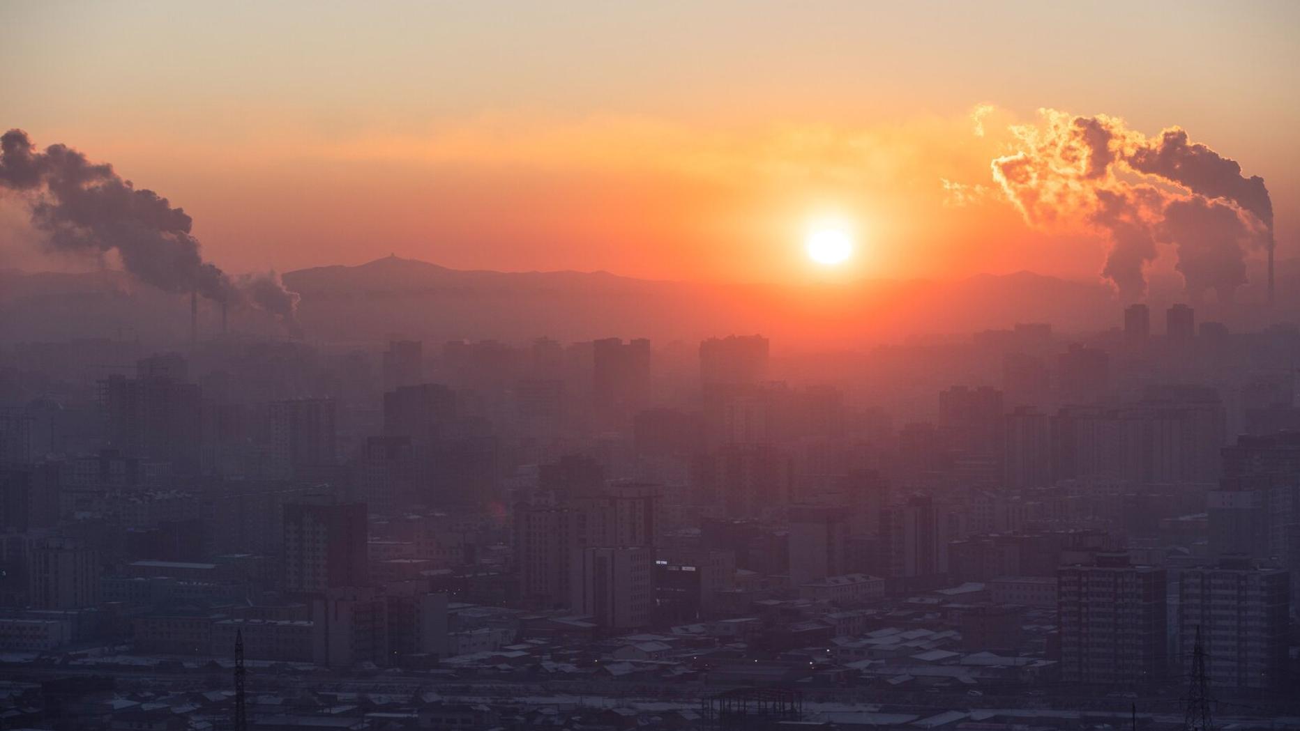 Extremwinter in der Mongolei 1,5 Millionen Herdentiere verendet