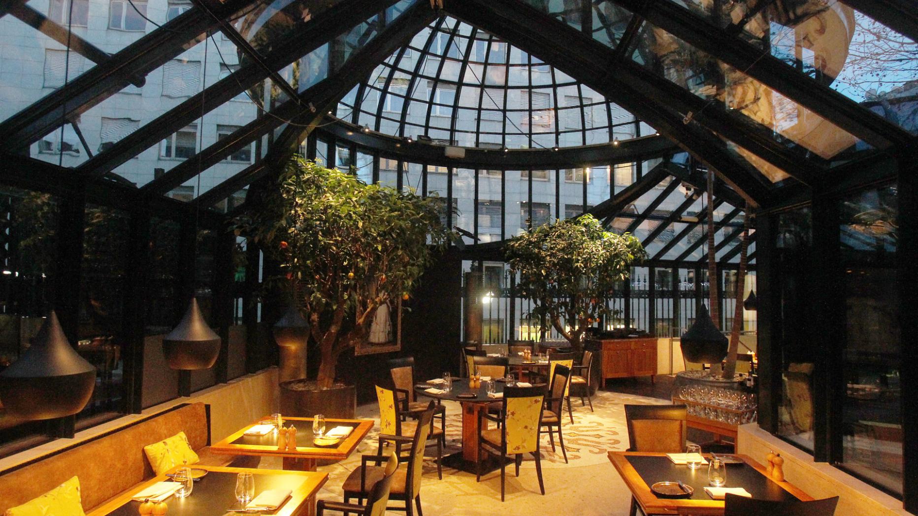 Salz & Pfeffer Clementine im Glashaus