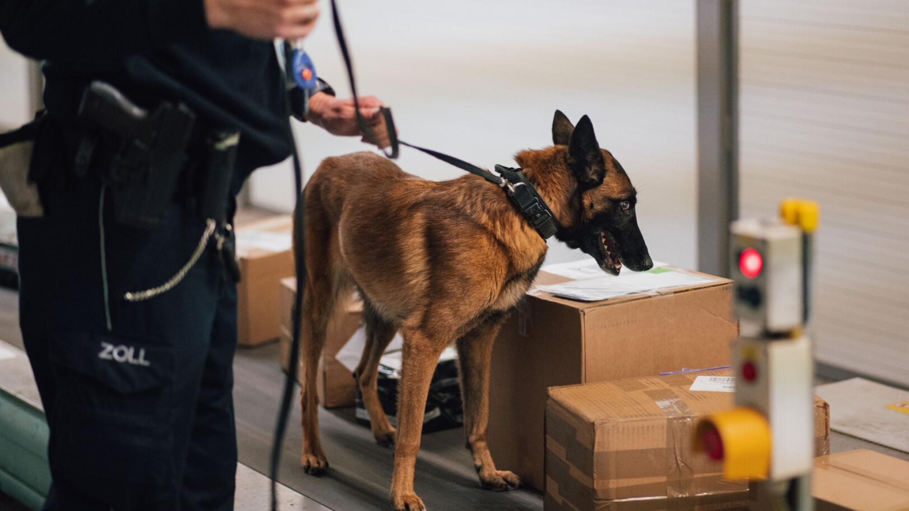 Customs clearance procedures. Таможенная служба беларуси. Таможенная бельгия. Таможенная бельгия. Таможенная бельгия.