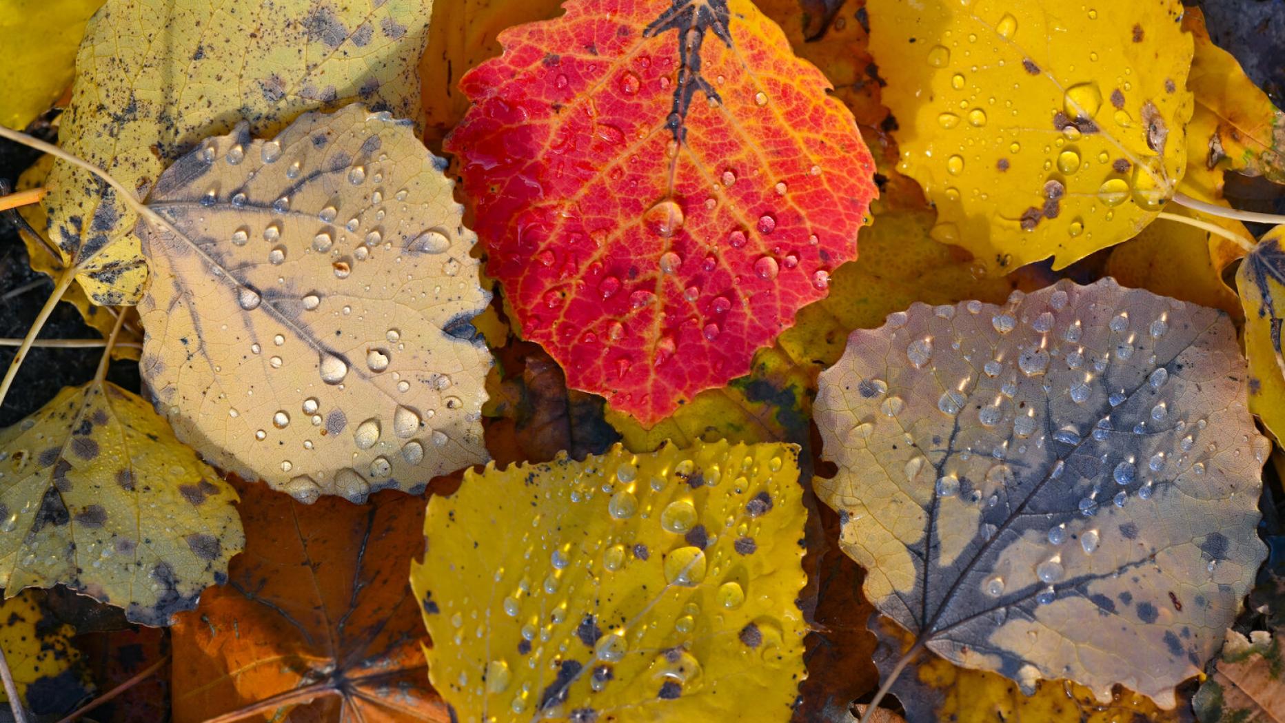 k-rnten-aktuelle-nachrichten