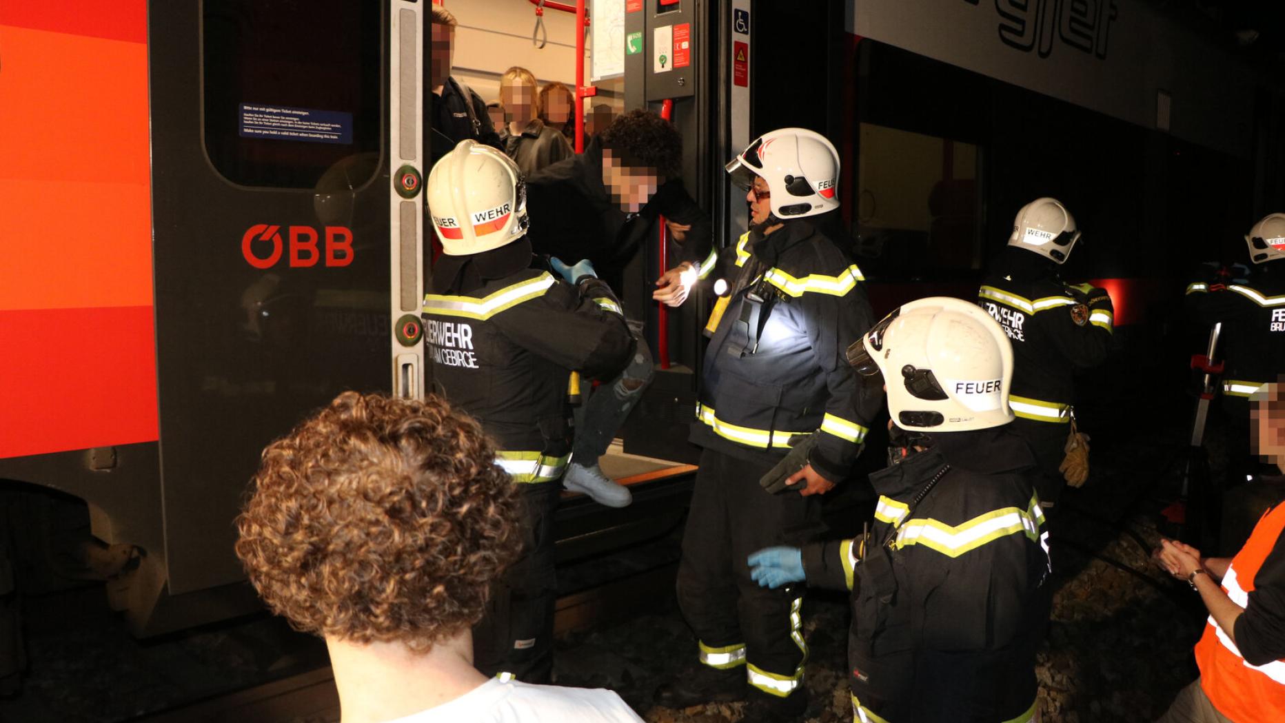 45 Fahrgäste nach technischer Störung aus Cityjet bei Brunn-Maria Enzersdorf evakuiert — image 2