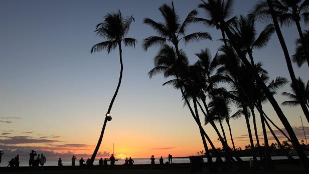Palmen stehen im Gegenlicht eines Sonnenuntergangs am Strand.