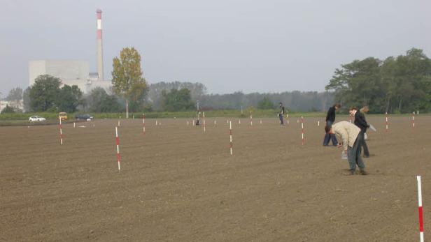 1321464601646120.jpg Römisches Dorf im Schatten des AKW