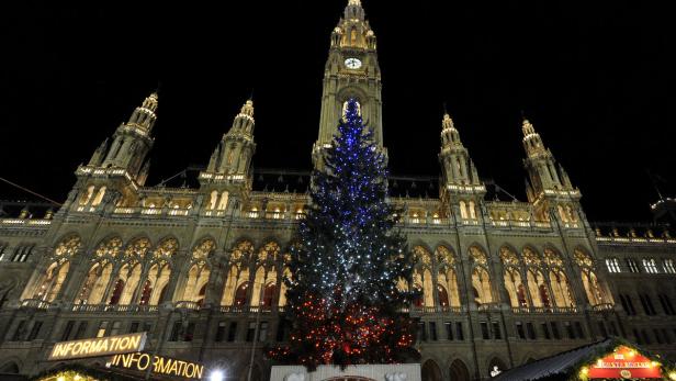 Der Wiener Christkindlmarkt vor dem Rathaus mit einem großen Weihnachtsbaum.