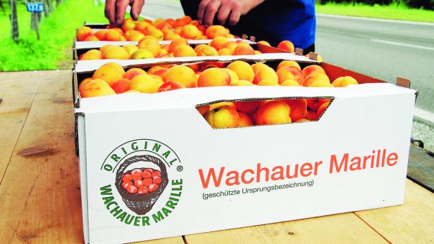 US–Lebensmittelerzeuger sehen etwa die geschützte Wachauer Marille als „Handelsbarriere“ beim Import von Waren.