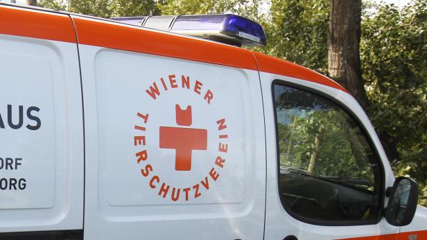 Ein Fahrzeug des Wiener Tierschutzvereins mit Blaulicht.