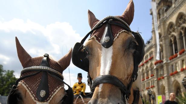 POSTKUTSCHE AUS TRIEST IN WIEN ANGEKOMMEN