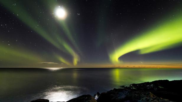 Über dem Meer leuchten grüne Polarlichter unter einem Sternenhimmel.