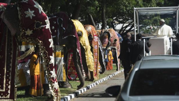 Auch Elefanten bildeten ein Spalier für den Papst. Am Mittwoch ist wegen des Besuchs in Sri Lanka ein Feiertag für alle, am Donnerstag fliegt Franziskus auf die Philippinen.