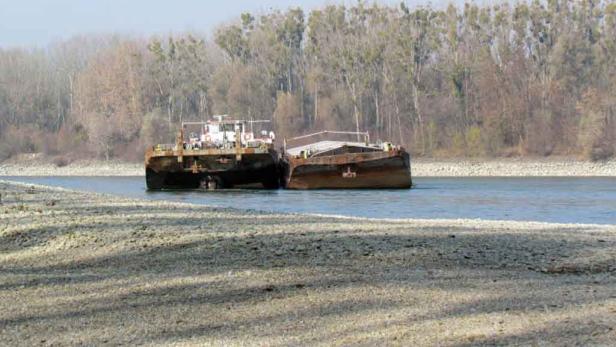 Schiffshavarien: Helfer fordern mehr Kompetenz