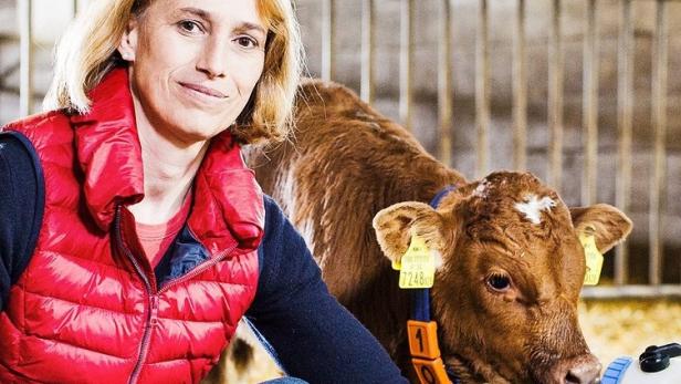 Eine Frau füttert ein braunes Kalb mit einer Nuckelflasche.