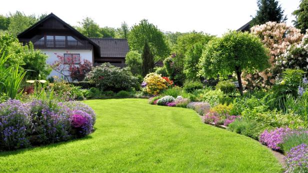 Ein gepflegter Rasen vor einem Haus, umgeben von blühenden Blumen und Sträuchern.