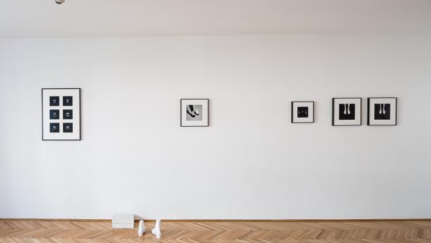 Ausstellungsansicht Kerstin von Gabain &quot;Raver geht ins archäologische Museum&quot;, Secession Wien