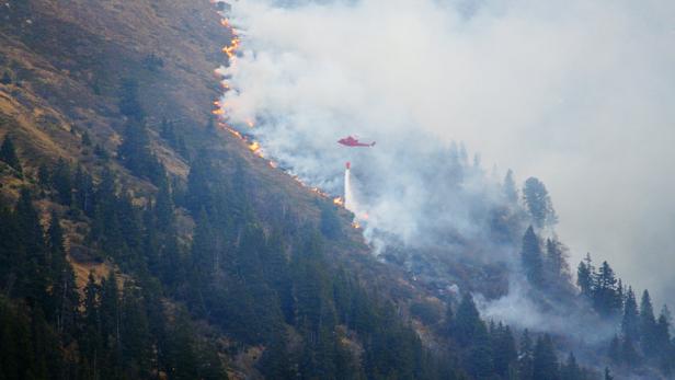 Waldbrand wütet im Tiroler Paznauntal
