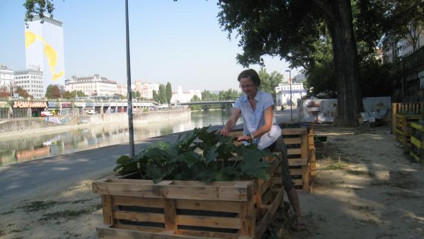 Lädt in den Gemeinschaftsgarten am Donaukanal: Martina Montecuccoli