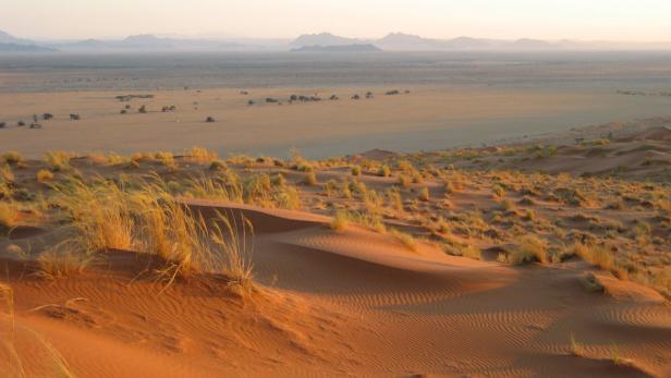 ARCHIV - Abendstimmung in der Wüste Namib in Namibia im Südwesten von Afrika (undatierte Aufnahme). Deutsche Hydrogeologen sind im Cuvelai-Etosha-Becken in trockenen Norden Namibias auf ein riesiges Grundwasservorkommen gestoßen, dass der ehemaligen deutschen Kolonie Trinkwasser für die nächsten vier Jahrunderte sichern könnte. Foto: Simone Humml dpa (zu dpa «Wasser unter Namibias Wüste entdeckt - Reservoir für 400 Jahre» vom 23.07.2012) +++(c) dpa - Bildfunk+++