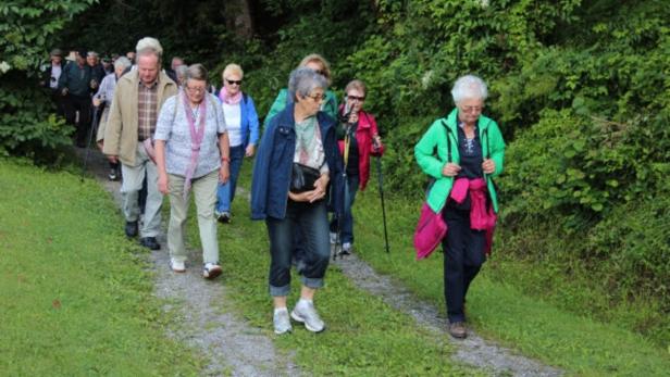 Eine Gruppe älterer Menschen wandert auf einem grasbewachsenen Weg entlang.