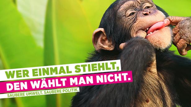 Vor allem die Grünen sind von dem Datenklau betroffen