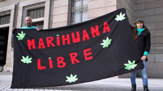 epa03809381 People support the free use of marijuana outside the Representative House in Montevideo, Uruguay, 31 July 2013. The lower house of Uruguay&#039;s National Assembly approved the controlled sale of marijuana in a move to aid the country&#039;s fight against illegal drugs. The Chamber of Deputies voted by 50 to 46 late on 31 July after a 13-hour session to allow individuals over 18 to buy up to 40 grams of marijuana per month from chemists&#039; shops, or to grow up to six cannabis plants, if they register on a database of users. Marijuana clubs would be allowed 15 to 45 members, and up to 99 cannabis plants. EPA/IVAN FRANCO