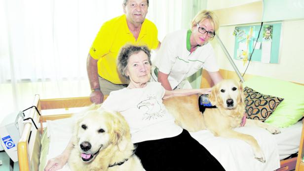 therapiehunde, helga knotzinger, anton ennsdorfer