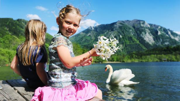 Festreigen zur Narzissenblüte