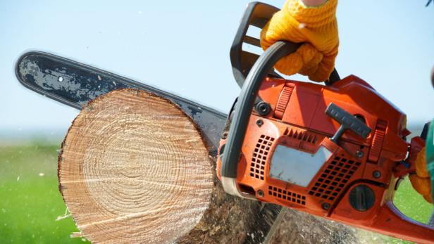 Eine Person mit Handschuhen sägt mit einer Kettensäge einen Baumstamm.