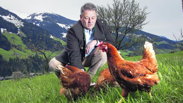 Karfreitag im Tiroler Bergdorf Alpbach: Minister Andrä Rupprechter (ÖVP) besucht einen Bauern, dessen Hühner auf der Wiese frei herumlaufen.